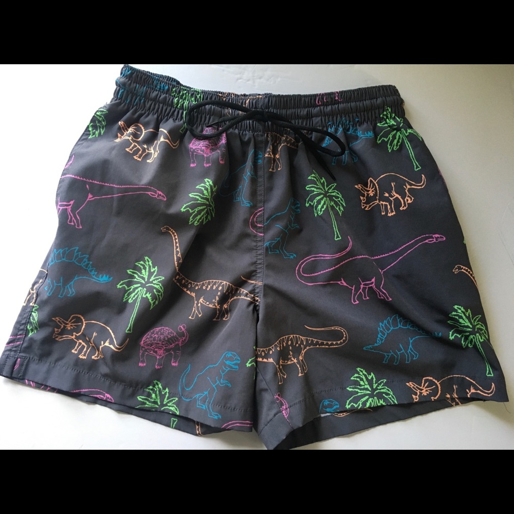 Chubbies swim trunks